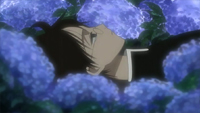 xxxHolic Anime Episode 6: Hydrangea